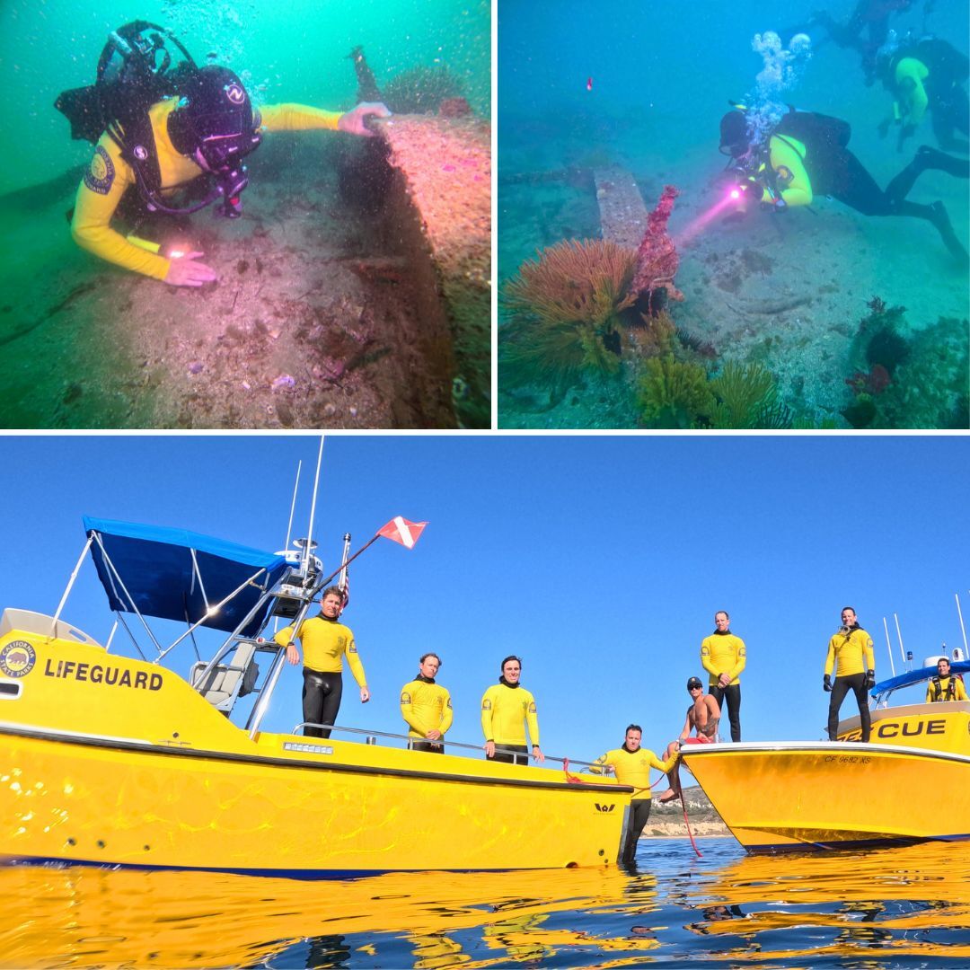 Crystal Cove training