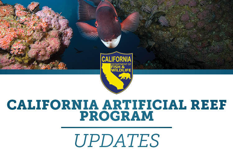 California Artificial Reef Program Updates