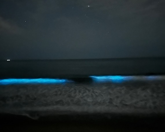 Leo Carrillo State Park Ocean Wave Bioluminescent New Moon