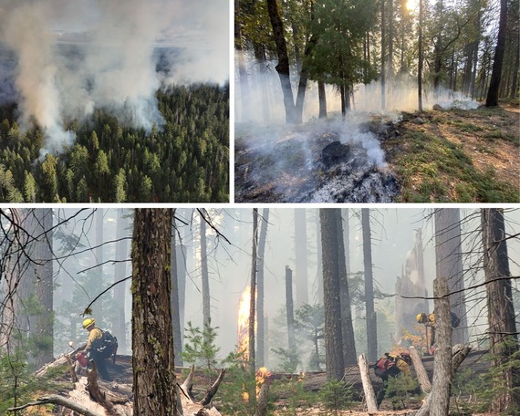 Calaveras Big Trees State Park Prescribed Burn Firefighters Smoke Ignitiion