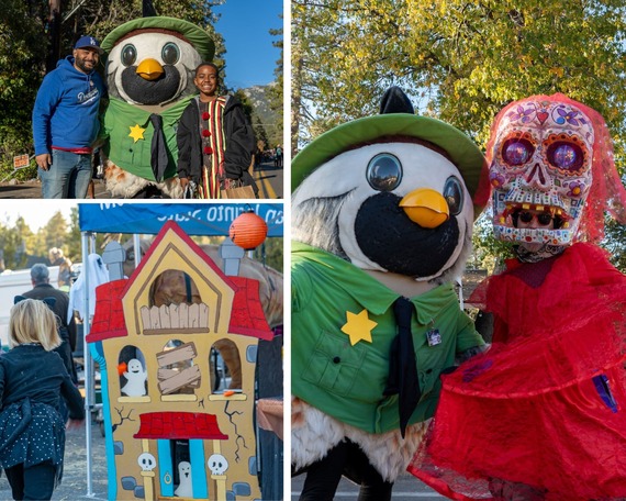 cali quail collage idyllwild great pumpkin celebration