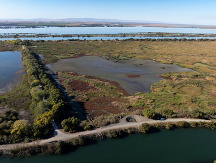 Aerial photo of Prospect Island