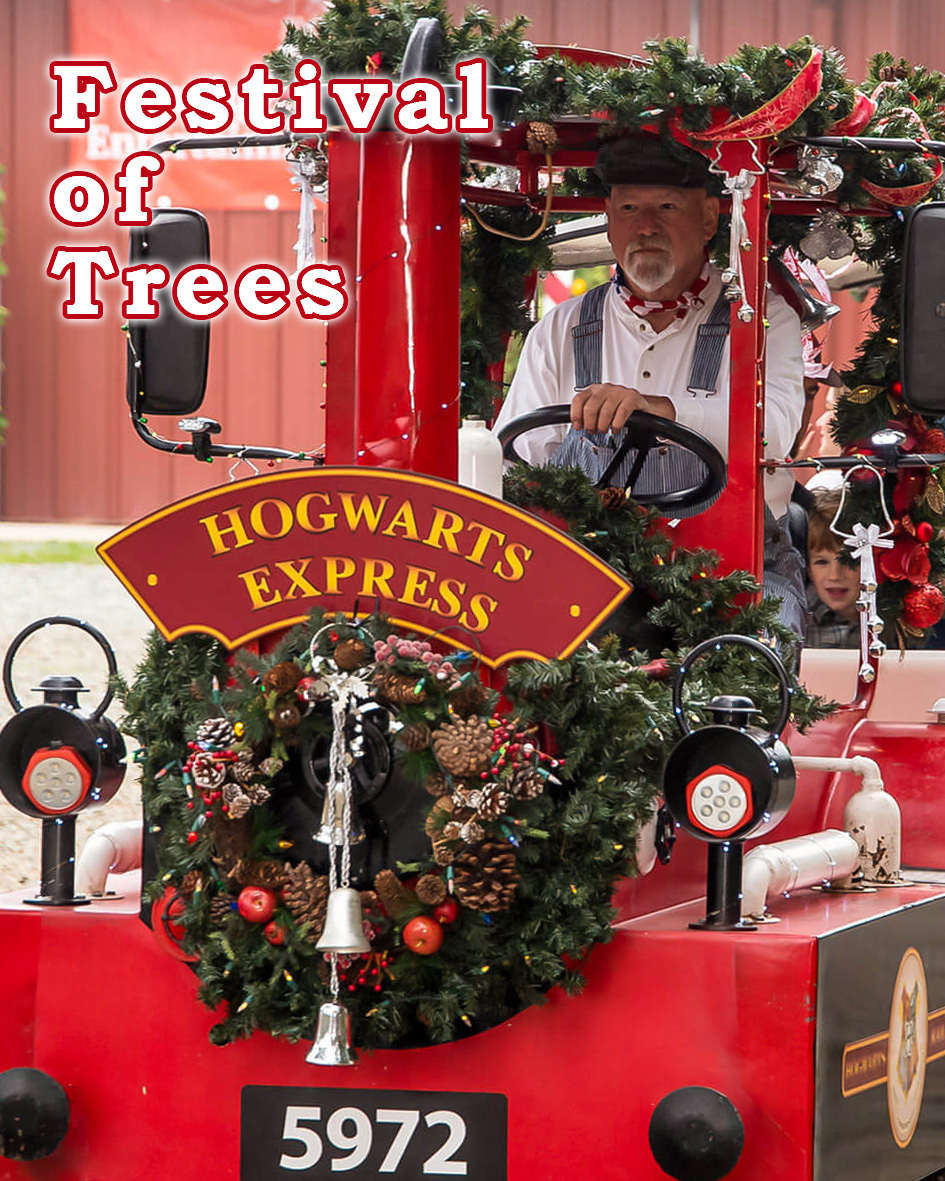 Man piloting a Hogwart's Express holiday train