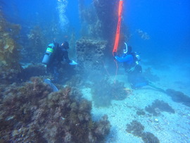 ChalkCoveDataCollect