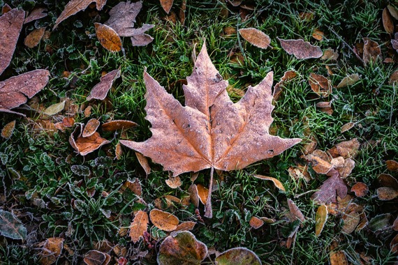 Feels Like Fall