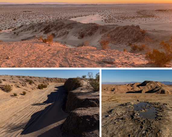 Ocotillo Wells District collage 1