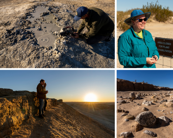 Ocotillo Wells District collage 3
