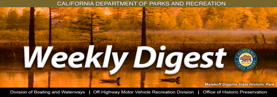 Malakoff Diggins Fall Banner 