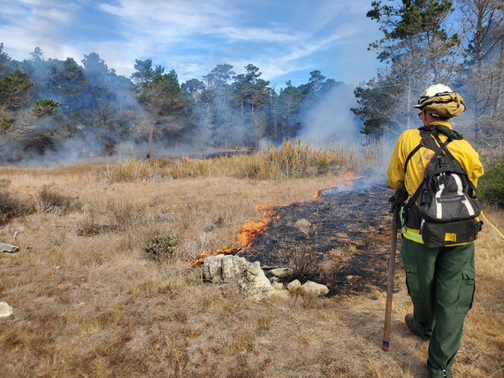 Point Lobos SNR burn