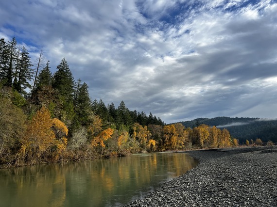 Eel River Humboldt Redwoods State Park Fall Colors