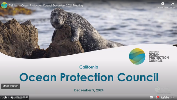 Image of meeting recording video on YouTube