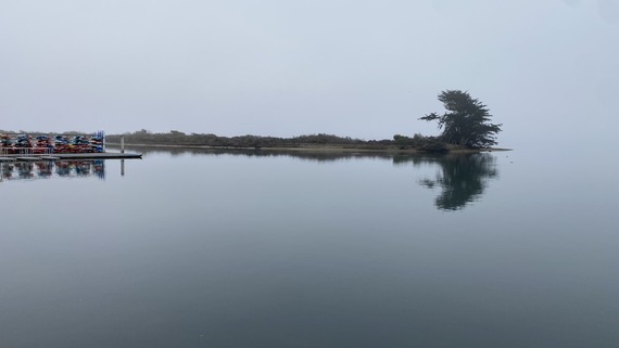 Morro Bay State Park Floating Marina Morning