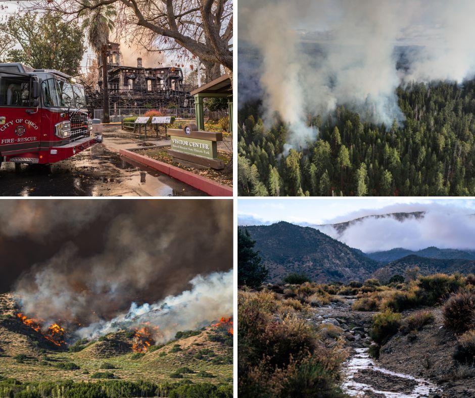 Year in Review collage 3 