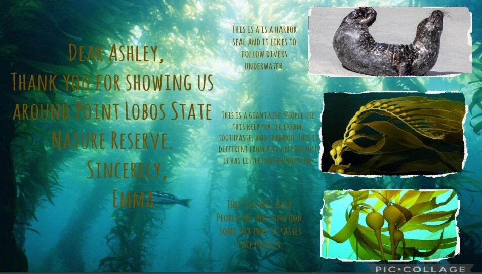 Thank you for Point Lobos State Natural Reserve PORTS Presentation