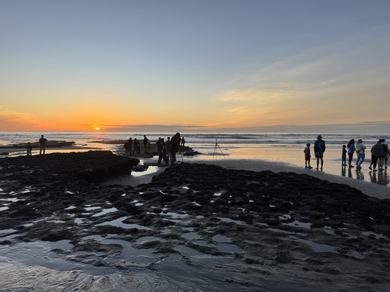 Cardiff SB king tides