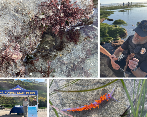 Cardiff SB king tides