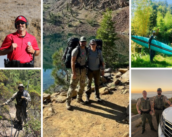 Ben Vanden Heuvel collage