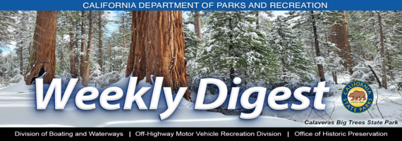 Winter Masthead Weekly Digest