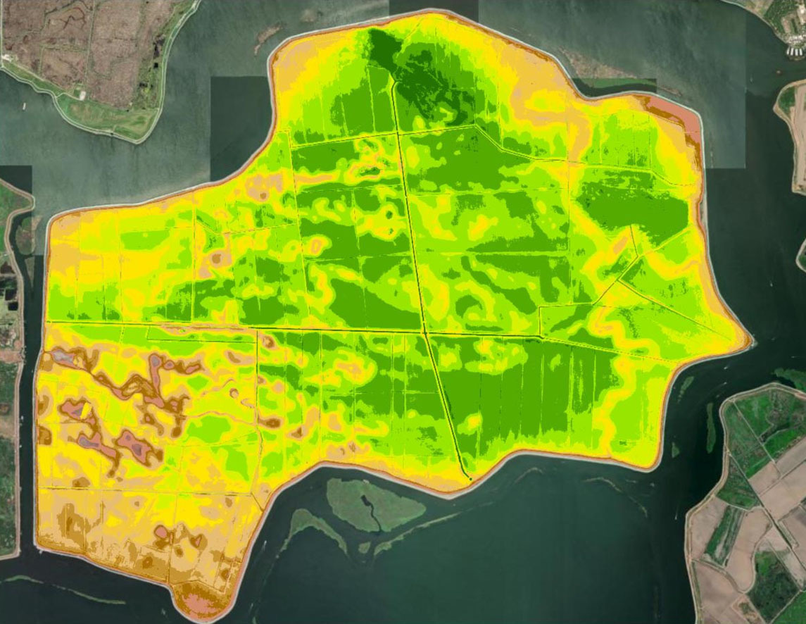 LIDAR image of subsidence on a Delta Island 