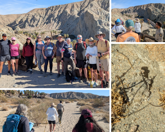 Indio Hills Palms Park Property_first day hike collage