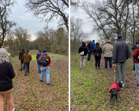 Delta Meadows Prop FDH collage