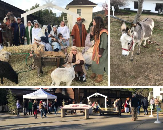 Christmas Eve at Sonoma SHP_collage