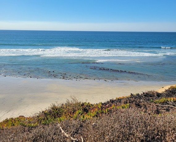 South Carlsbad State Beach Reef