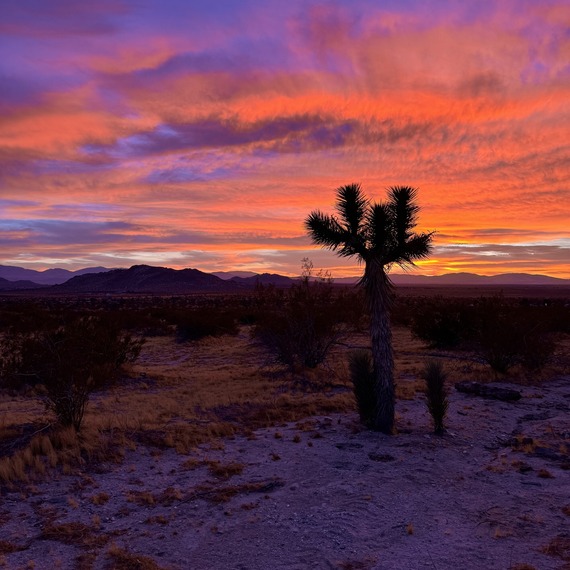 Saddleback Butte State Park sunset