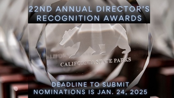 2024 Director's Awards Graphic