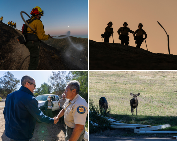 Palisades Update collage 2