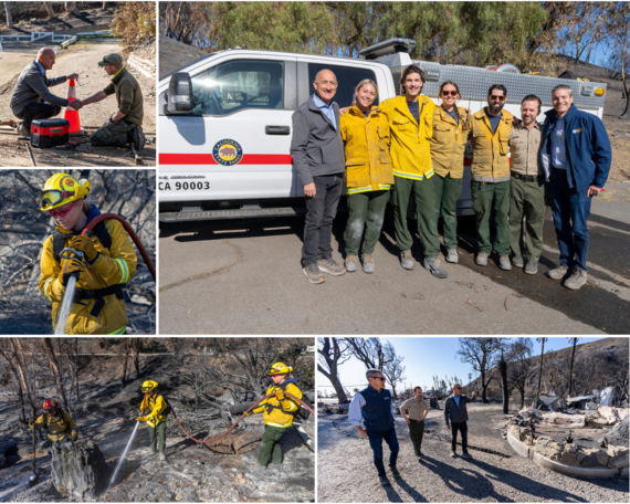 Palisades Update collage 1