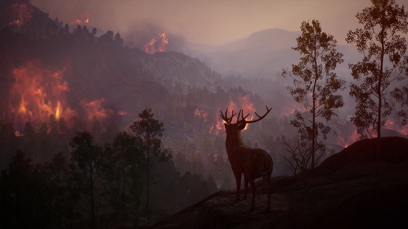 A buck deer watches a wildfire from a distance.