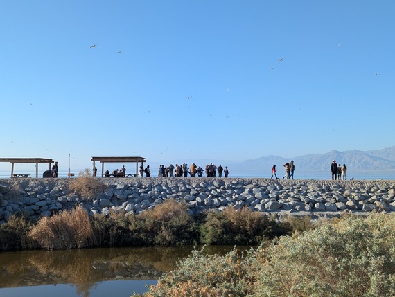 Salton Sea Bird Festival 2025 State Recreation Area
