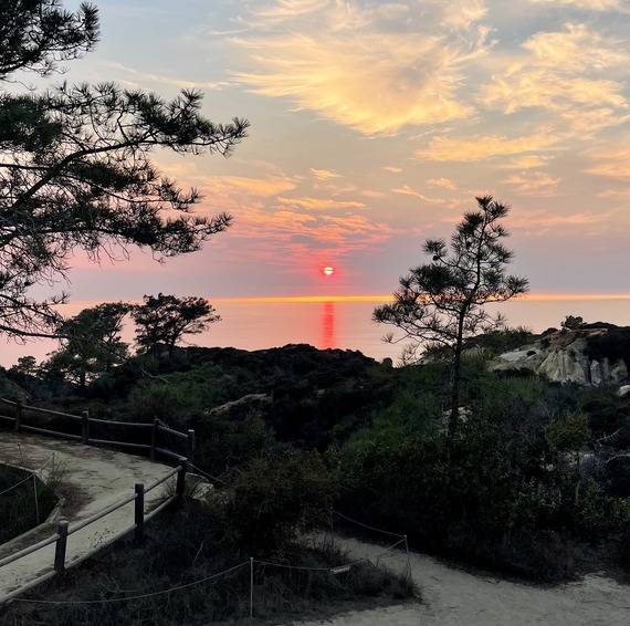 Torrey Color California State Parks Weekly Digest - Jan. 31, 2025