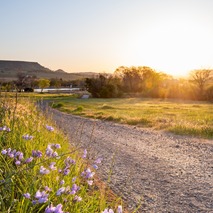 The sun rises along the Brad Freeman Trail at the Thermalito Forebay. 