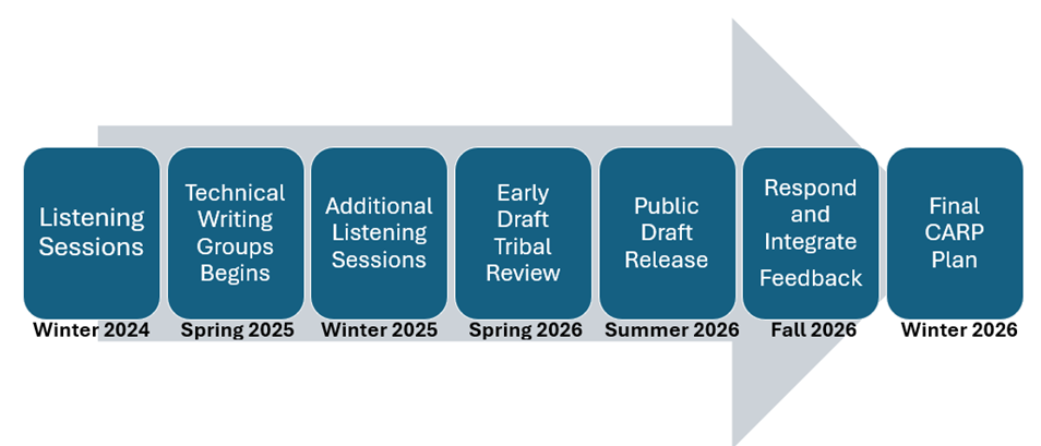Timeline CARP Plan development v2