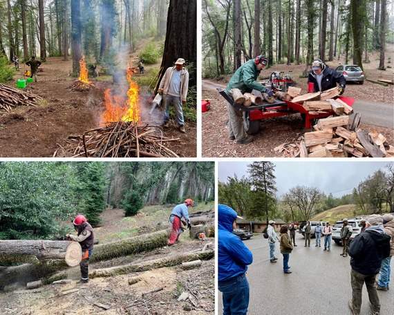 Armstrong Redwoods SNR (Collage)