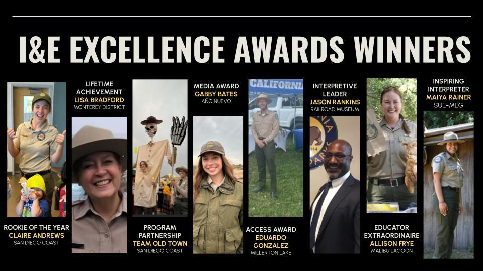 Excellence Award winner collage