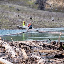 DWR civil maintenance crews use boom logs to collect floating woody debris at Lake Oroville. 