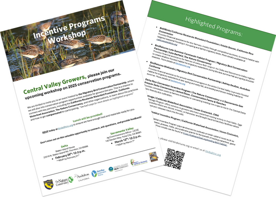 Workshops for Central Valley Growers: 2025 Incentive Programs