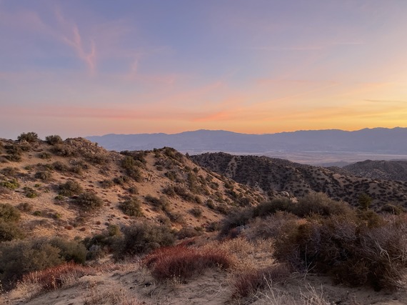 Desert landscape with scrub bushes