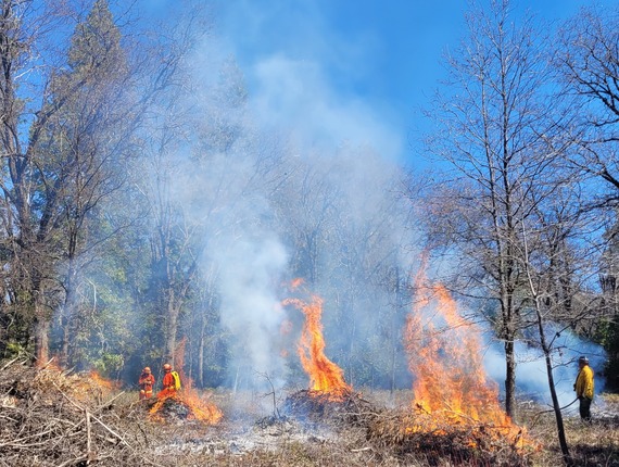 Empire Mine State Historic Park Pile Burning Union Hill Indian Loop Trail