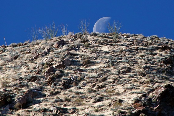 Waning Moon Anza-Borrego Desert State Park Alien Landscape