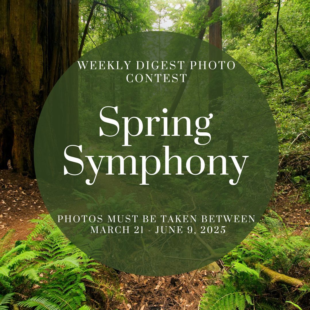 Spring Symphony Weekly Digest Contest