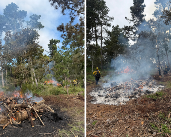 Hatton Canyon Park Property prescribed burn