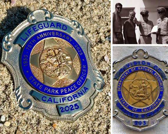 Lifeguard badge
