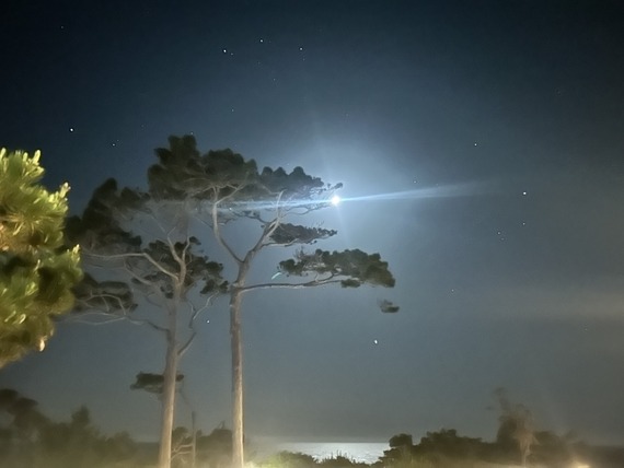 Asilomar night sky