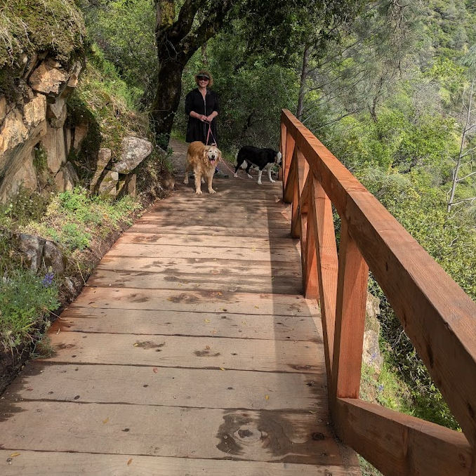 South Yuba River State Park Wolfe Party with Dogs on New Bridge
