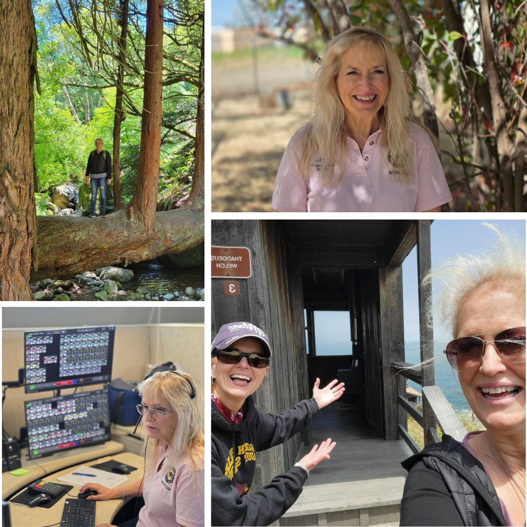 Employee Spotlight collage