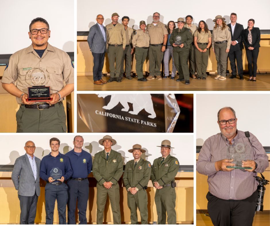 2025 Director's Recognition Award winners 